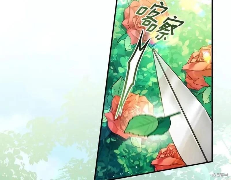 第 154 页