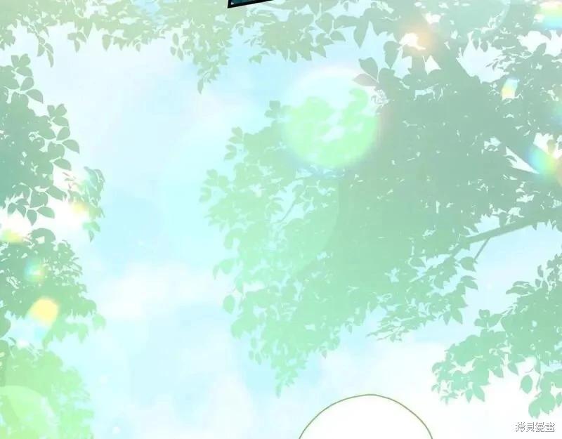 第 155 页