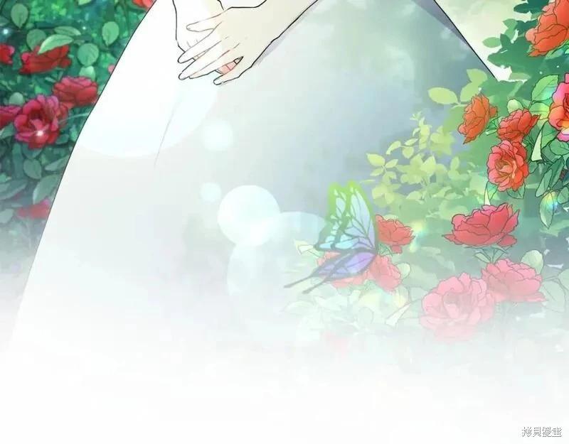 第 185 页