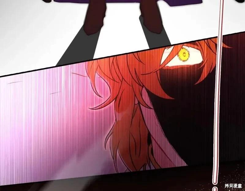 第 207 页