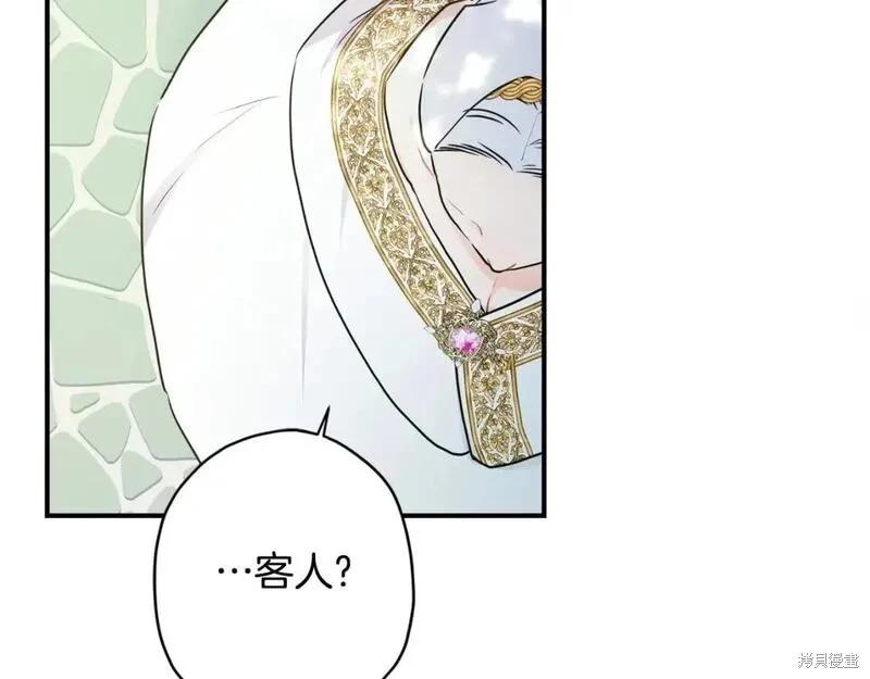 第 210 页