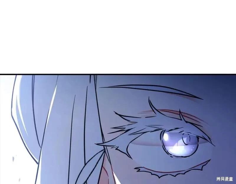 第 216 页