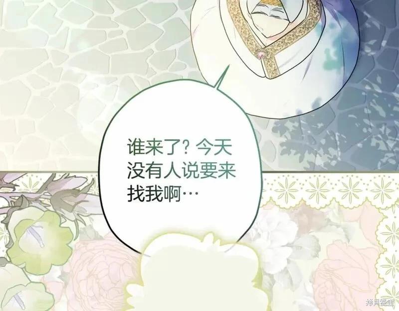 第 222 页