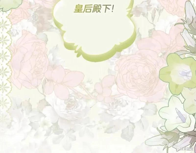 第 223 页