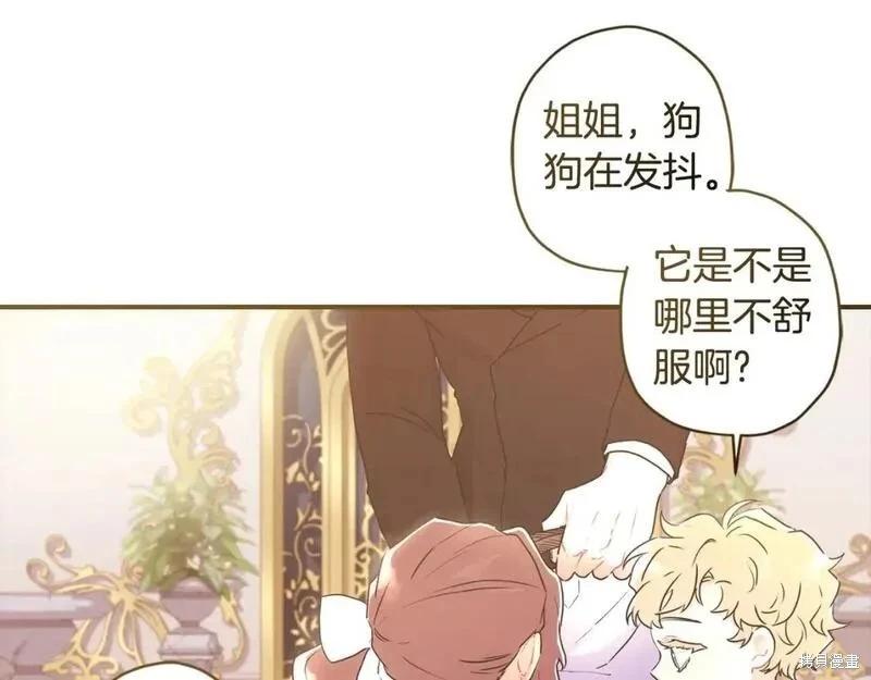第 91 页
