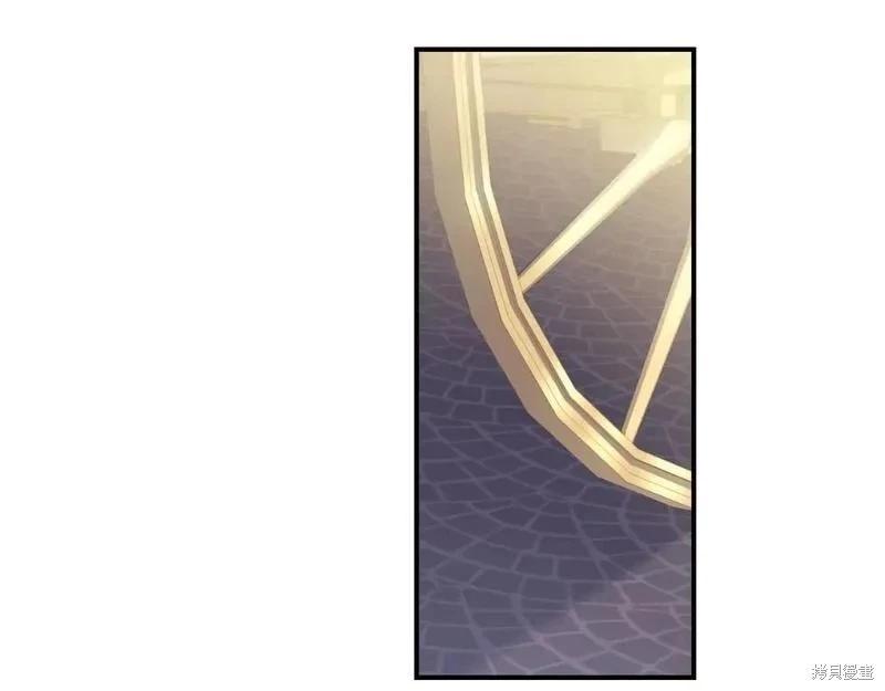 第 113 页