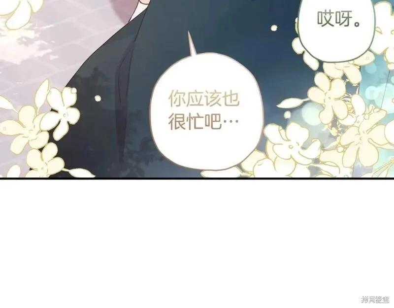 第 116 页