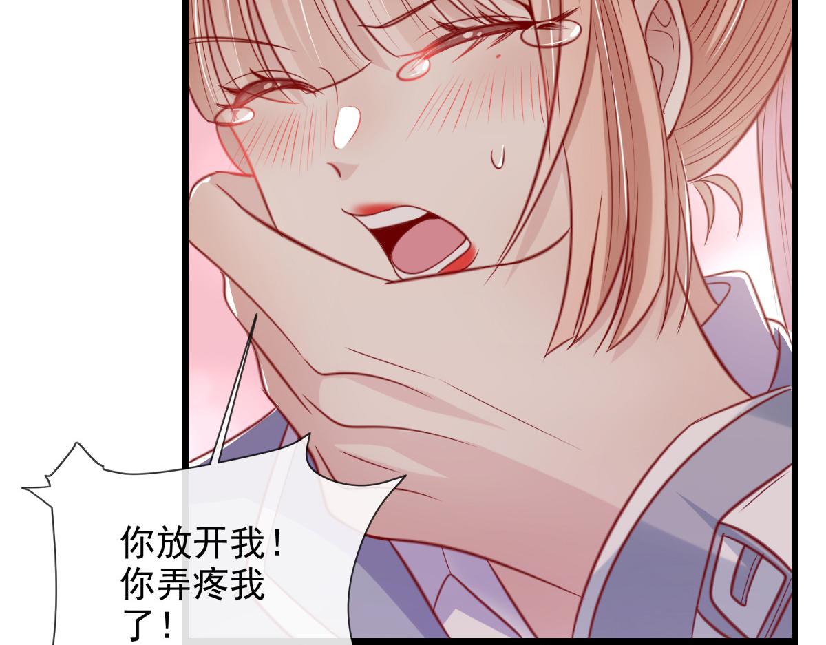 第 53 页