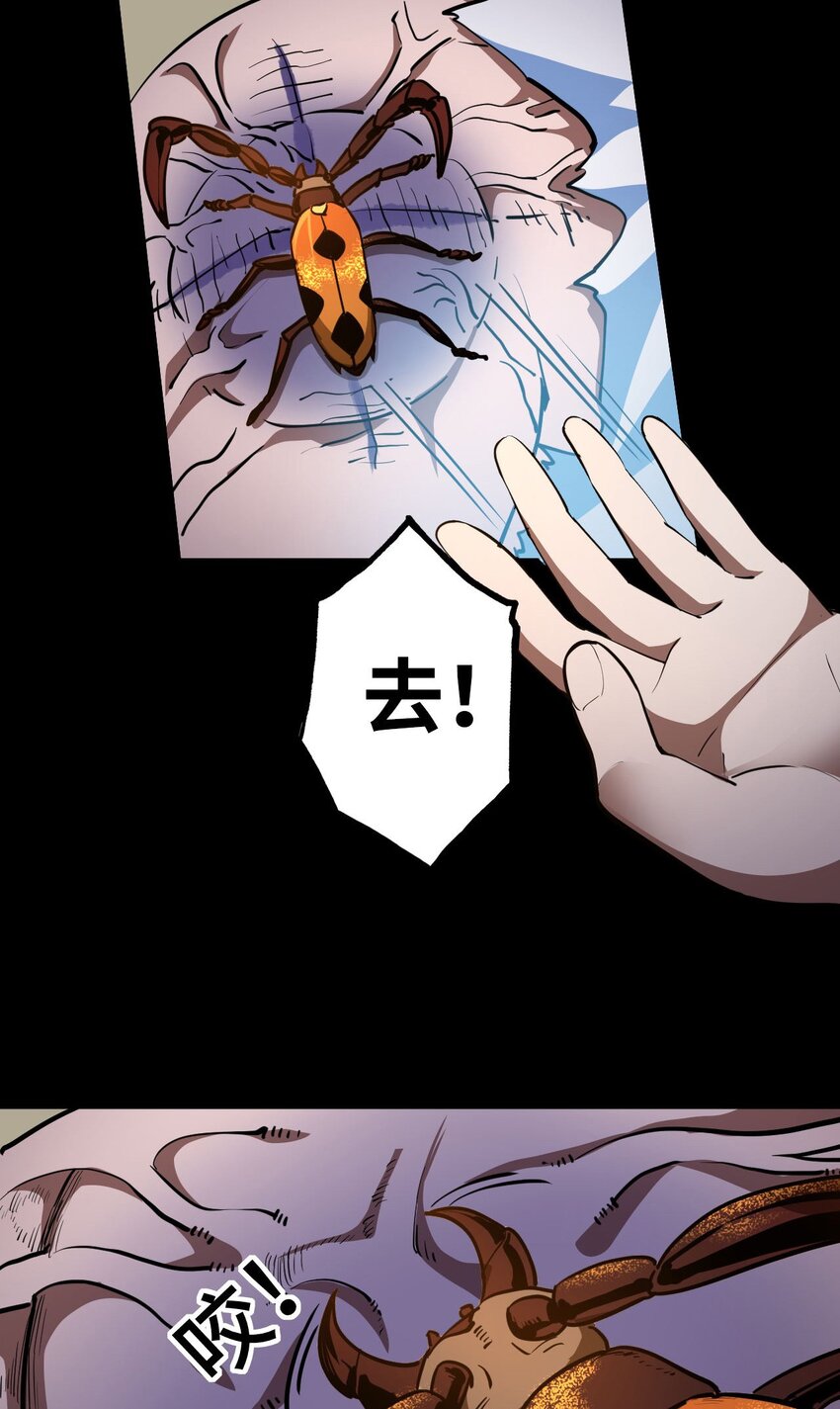 第 53 页