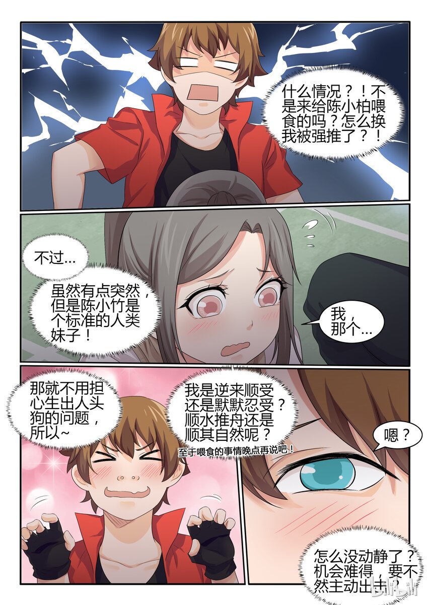 第 11 页