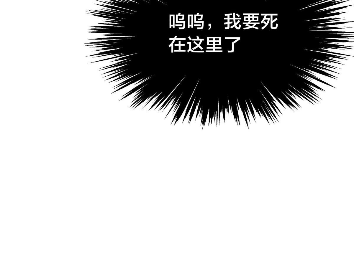 第 114 页