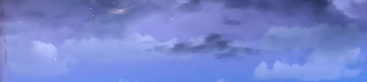 第 111 页