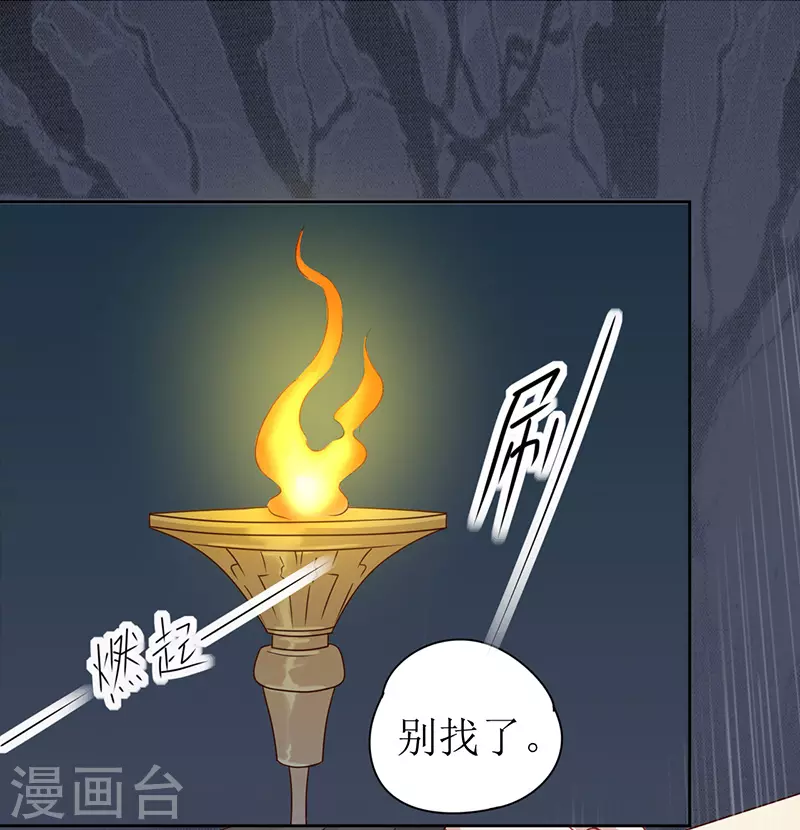 第 51 页