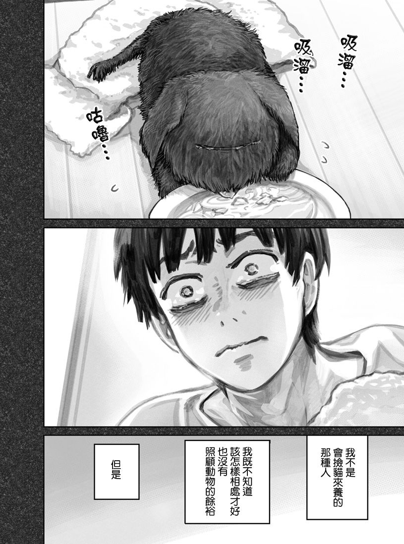 第 20 页