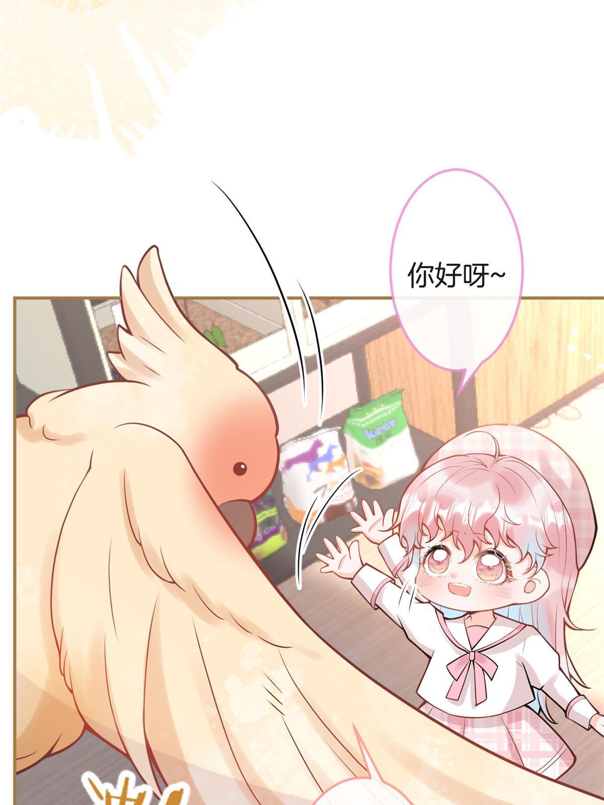 第 35 页