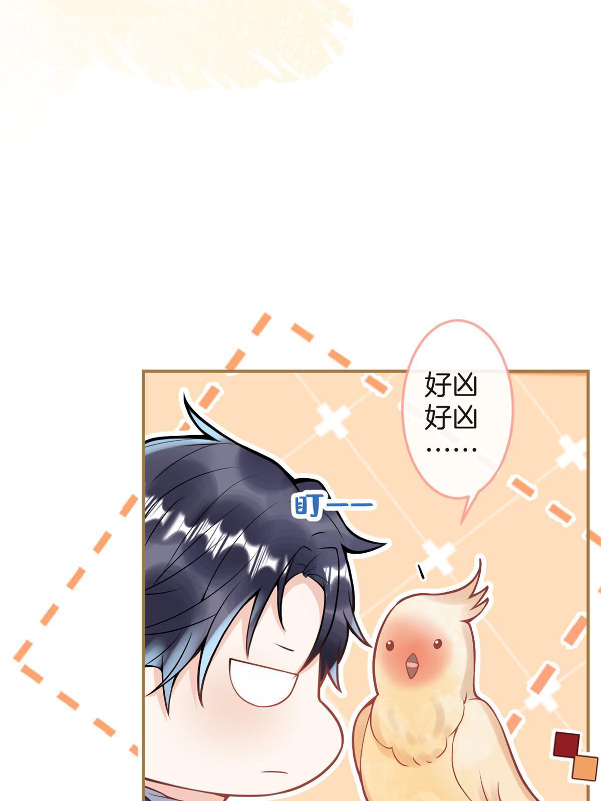 第 39 页