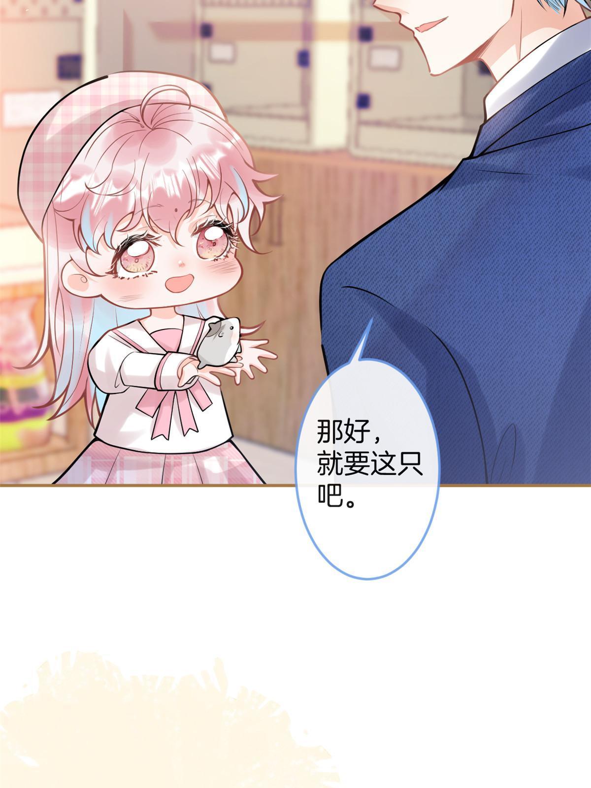 第 51 页