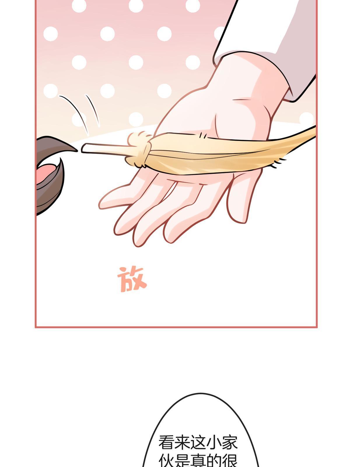 第 58 页