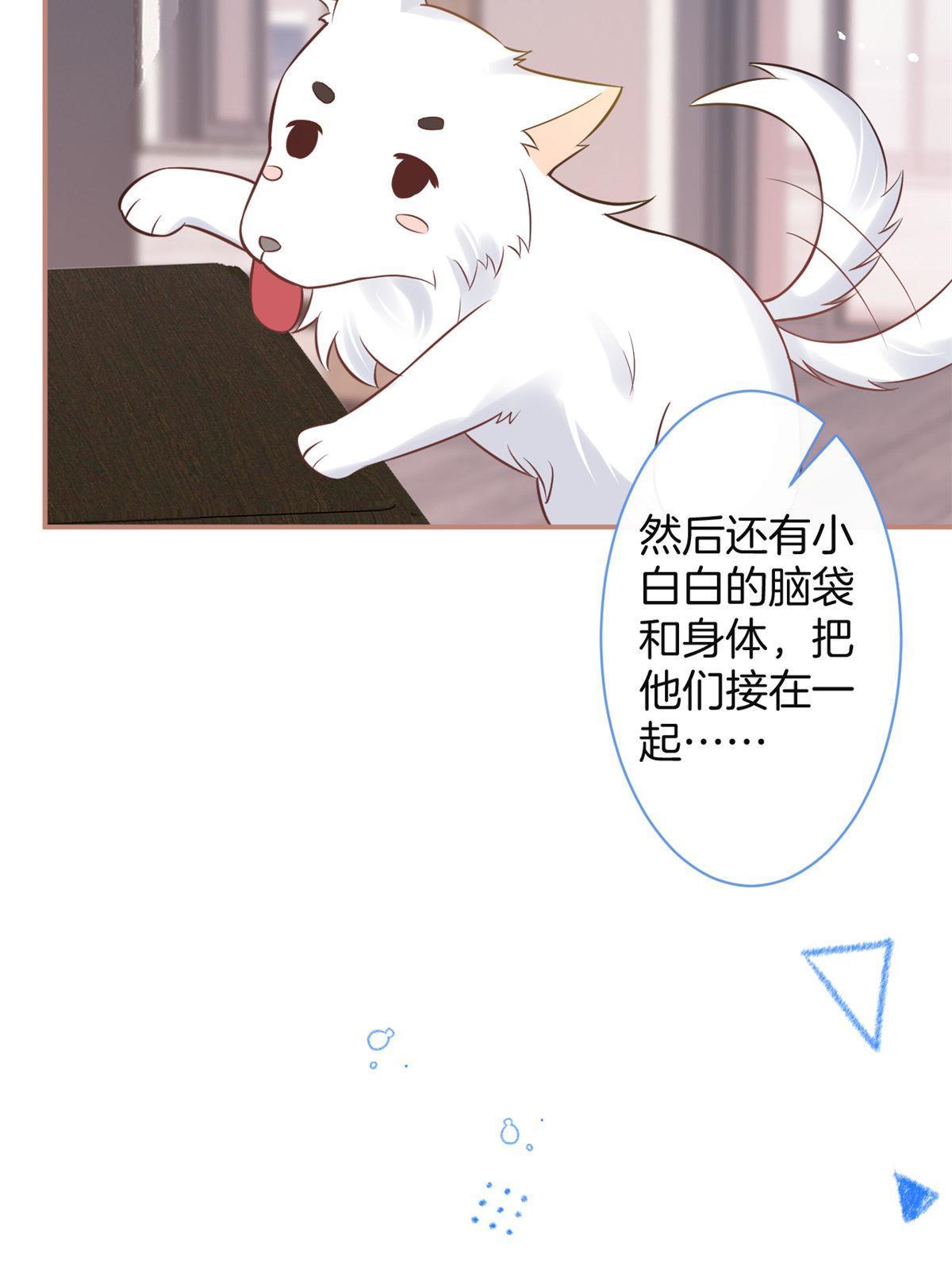 第 42 页