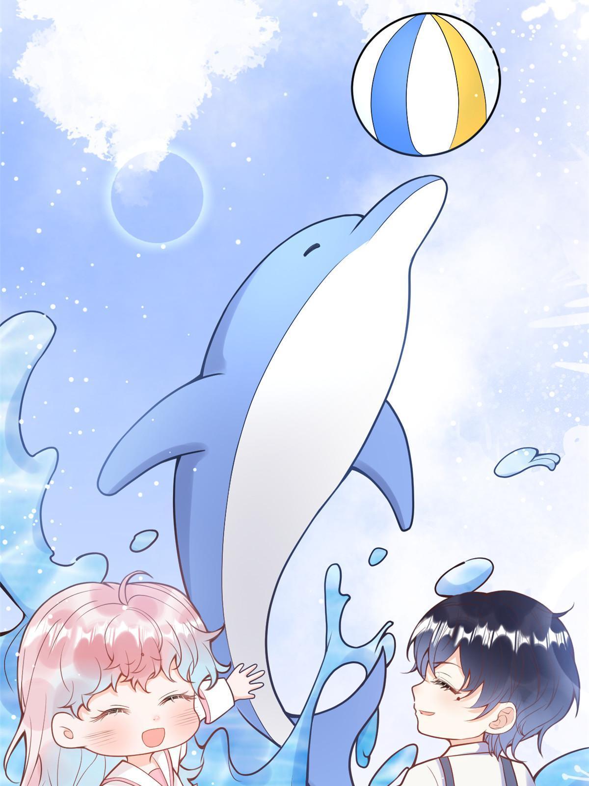 第 43 页