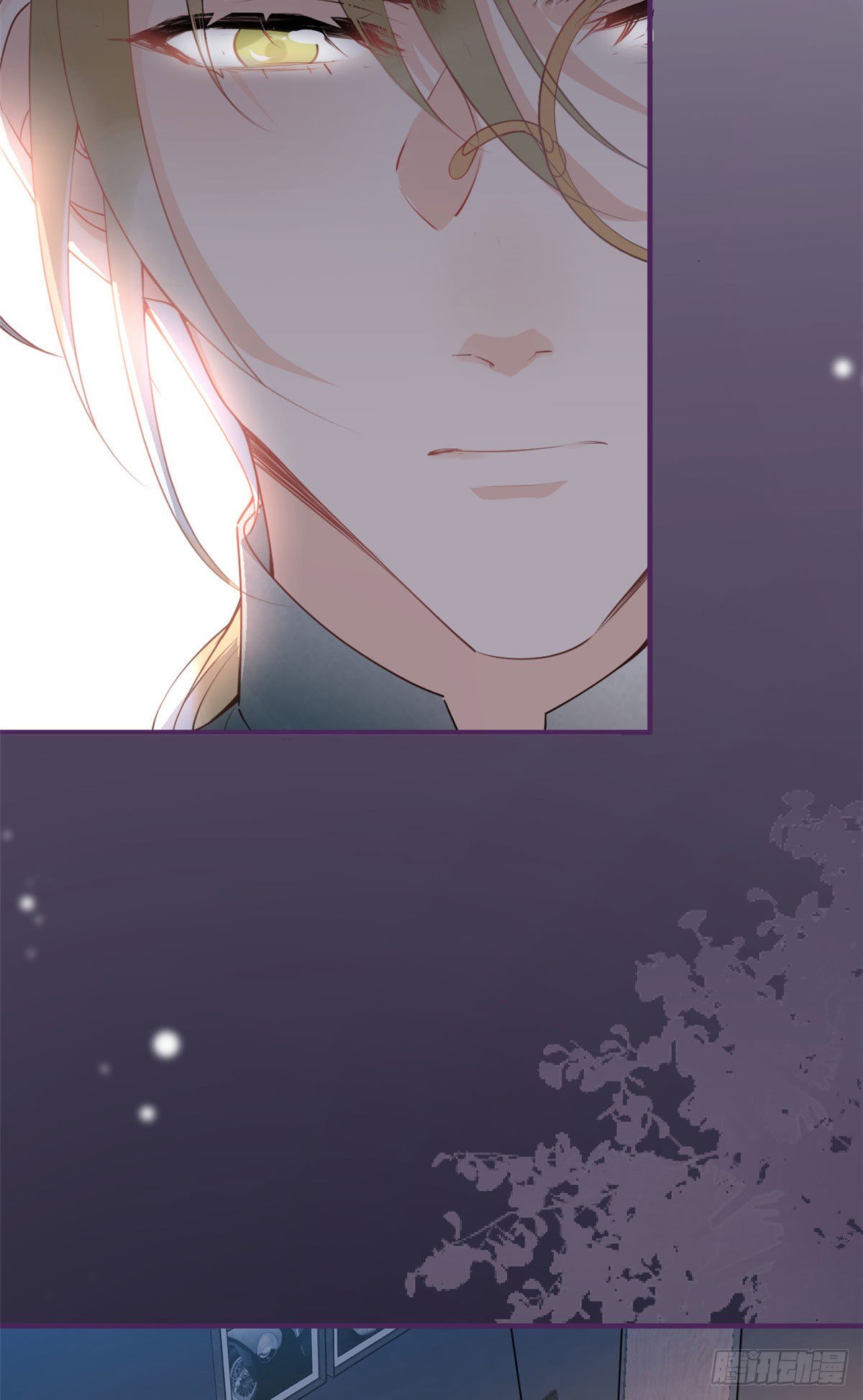 第 51 页