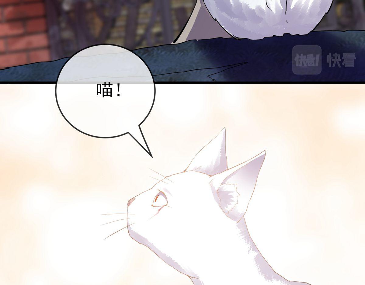 第 116 页