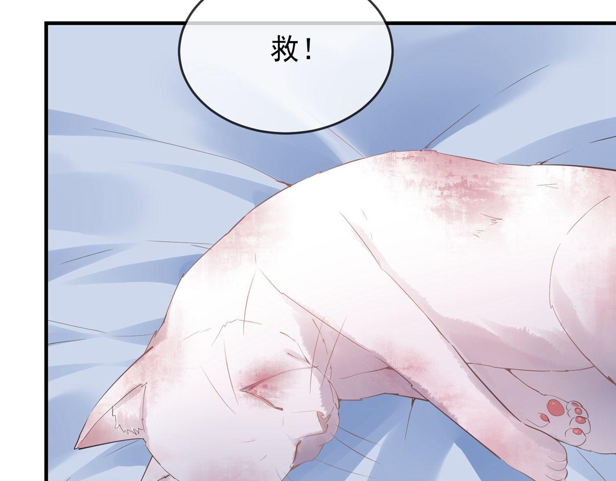 第 87 页