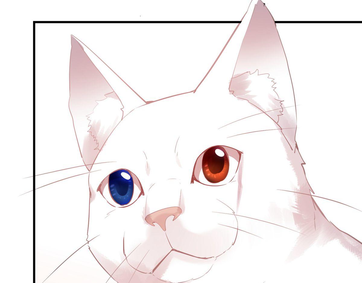 第 95 页