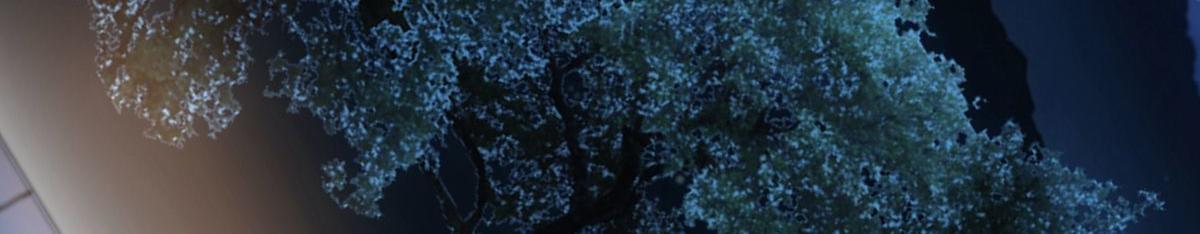 第 68 页