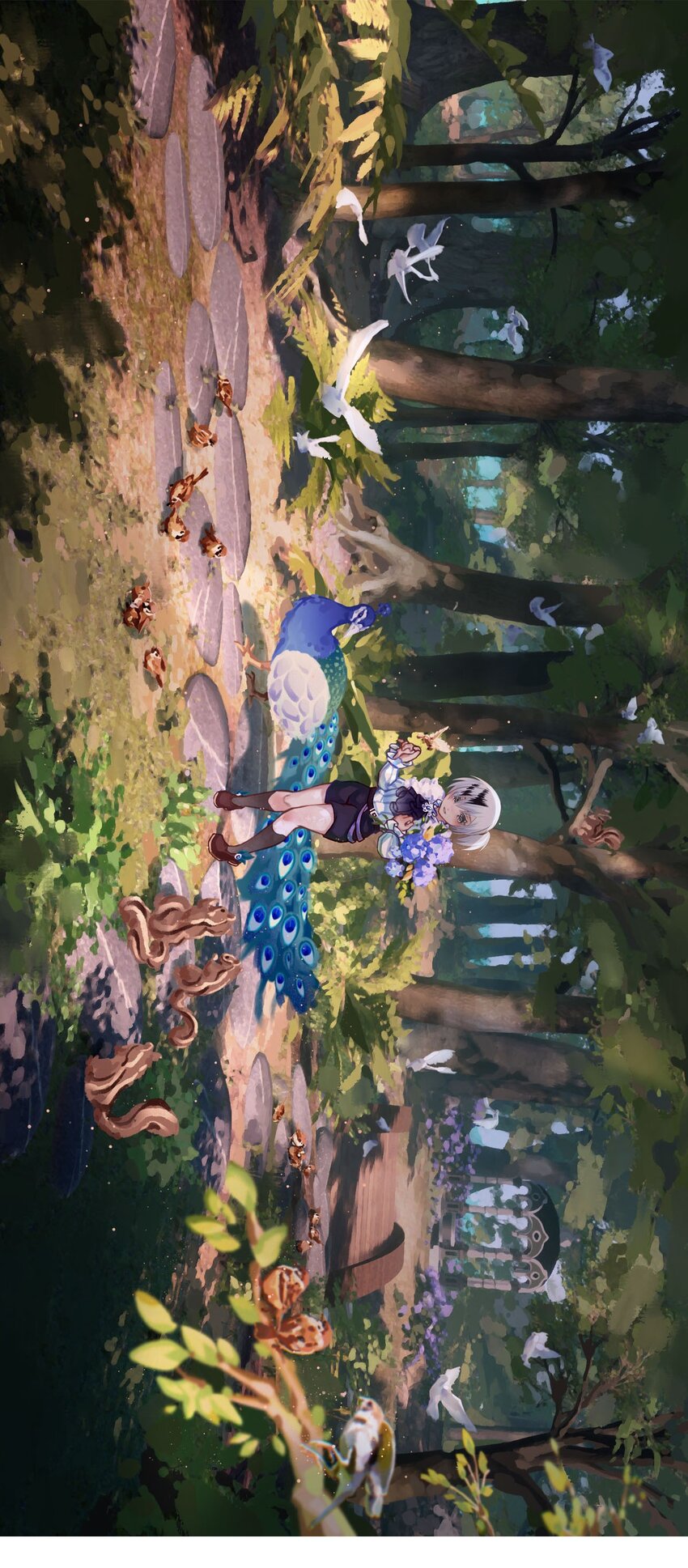 第 35 页