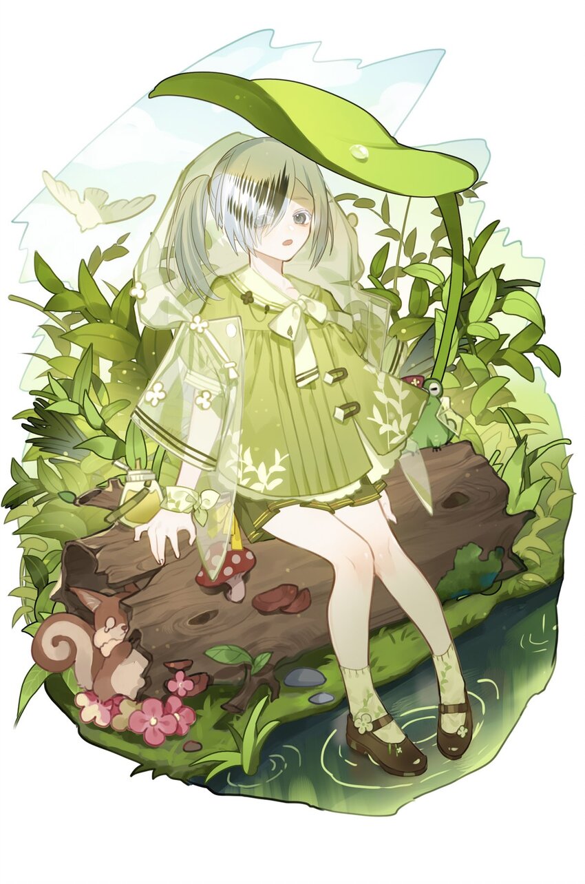 第 35 页