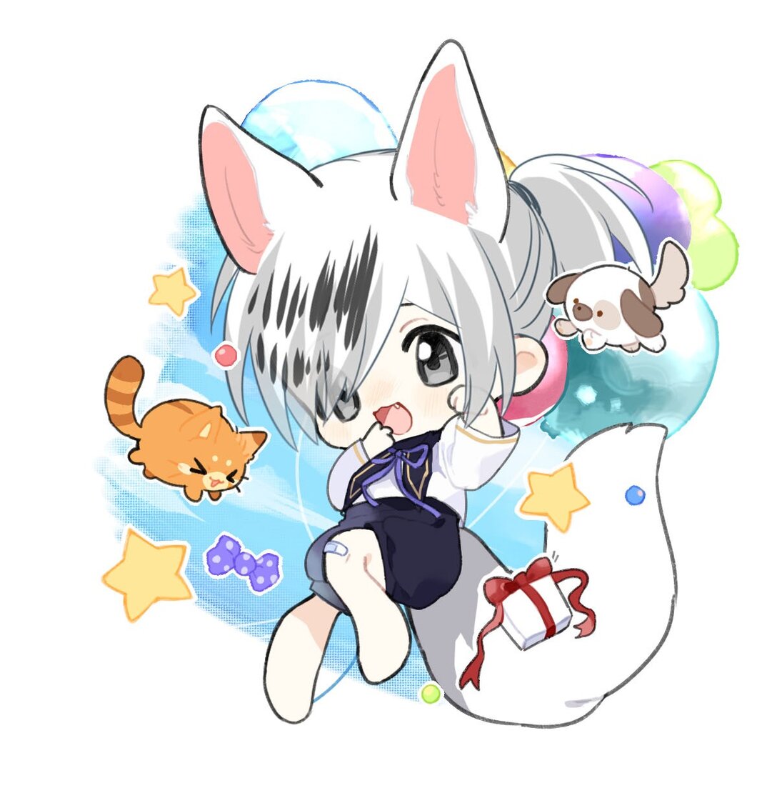 第 11 页