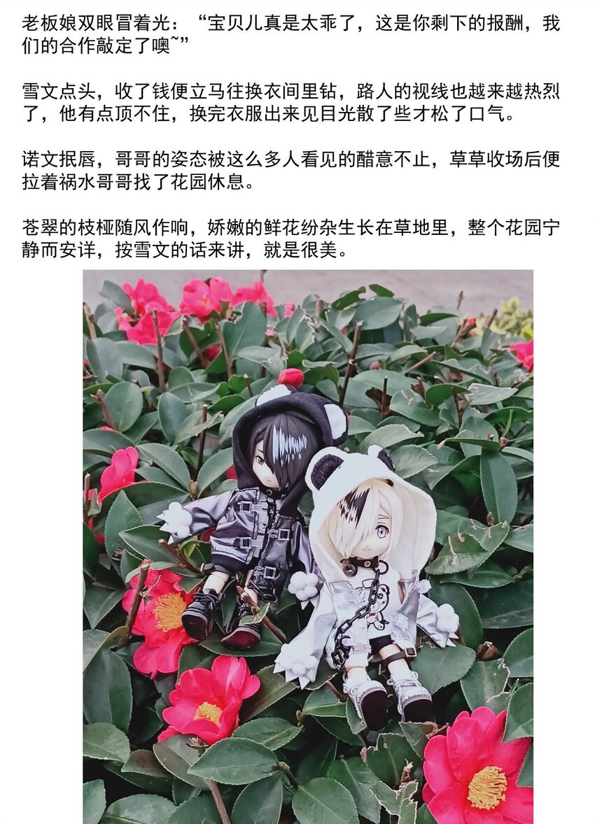 第 37 页