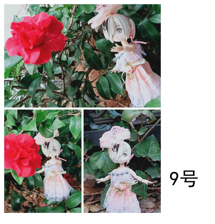 第 50 页