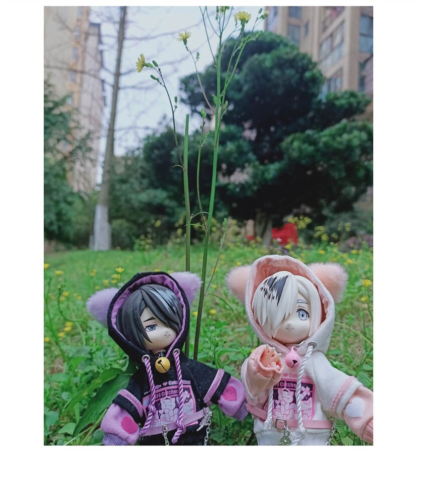 第 31 页