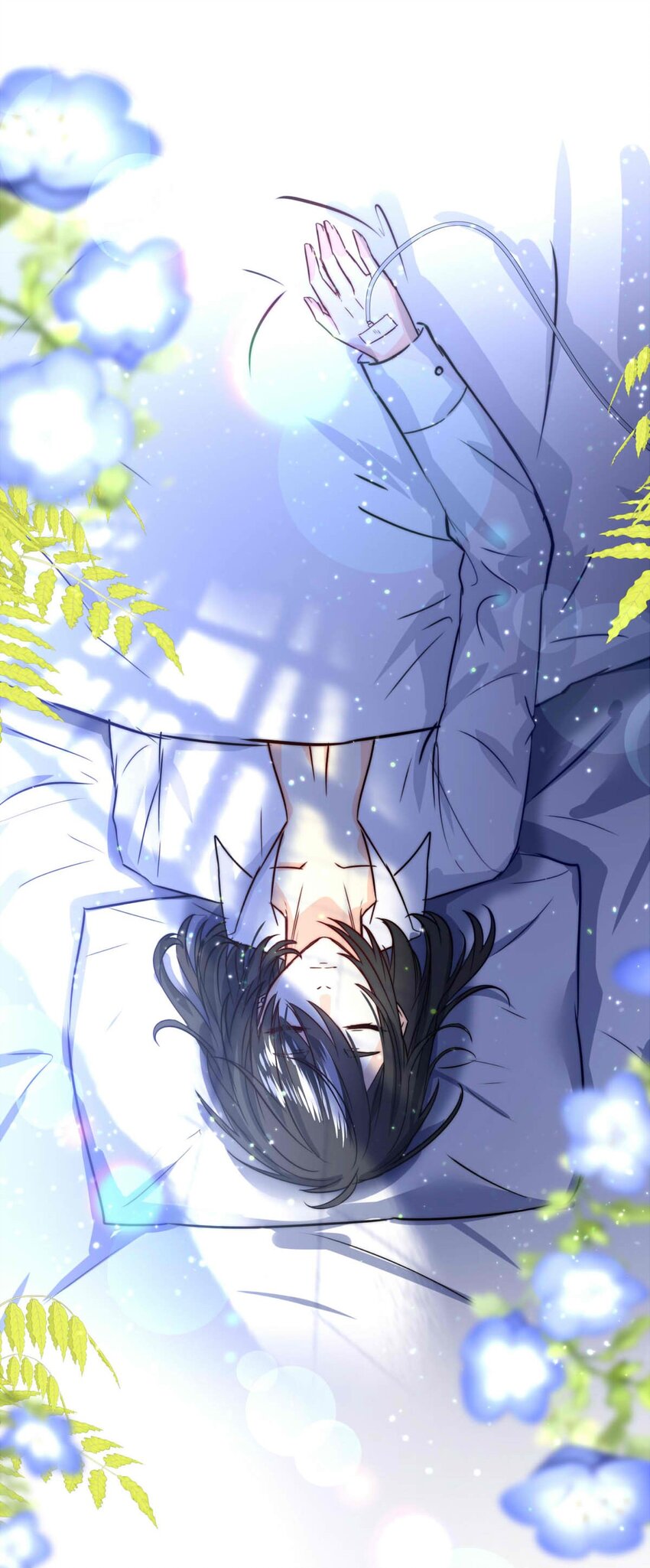 第 31 页