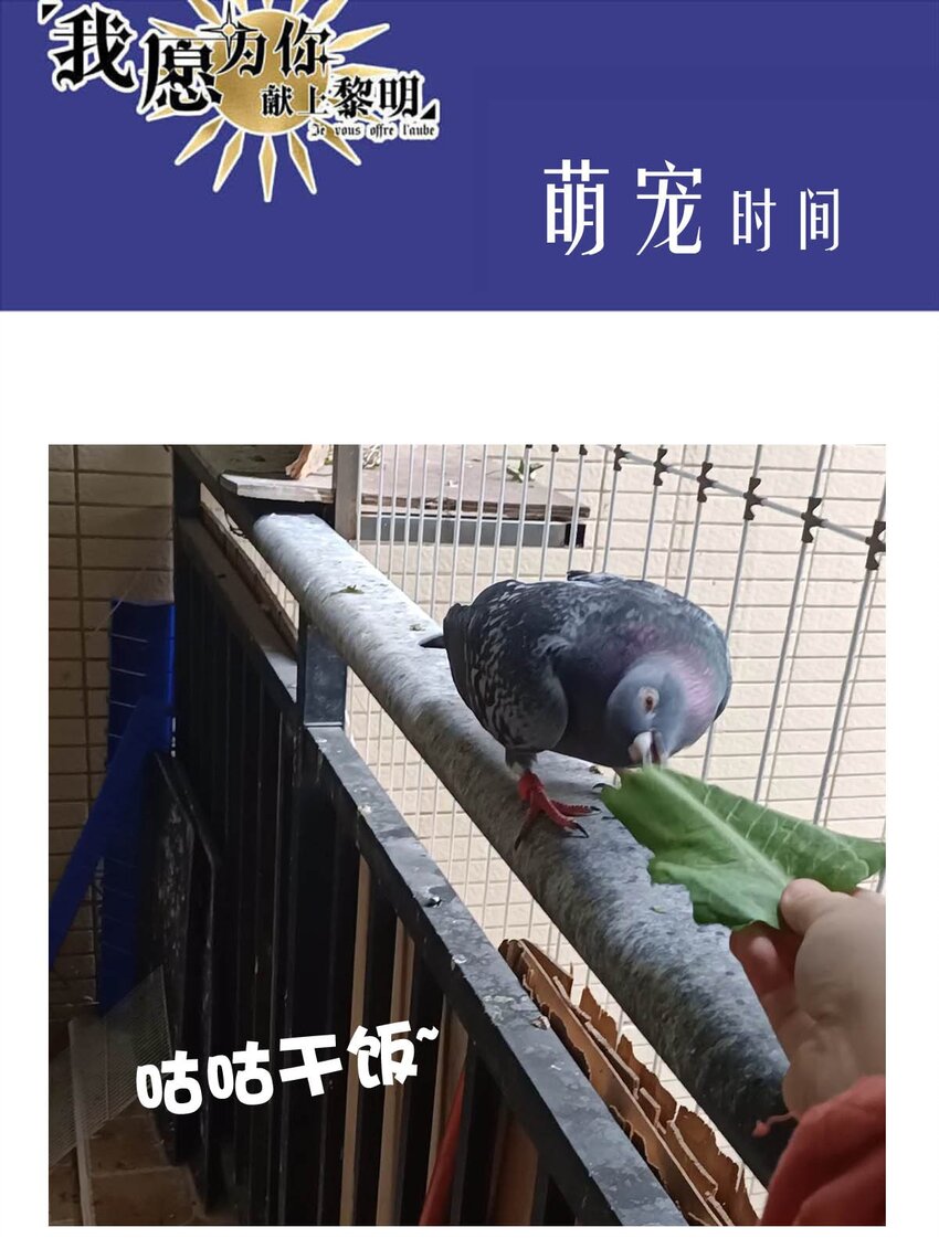 第 50 页