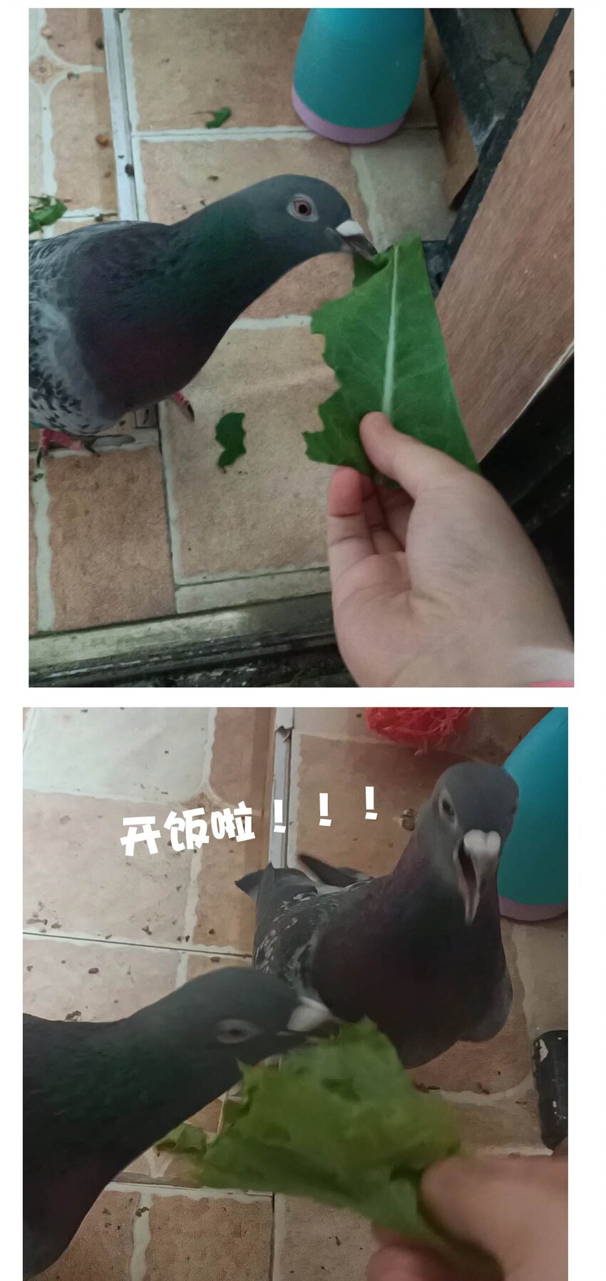 第 51 页