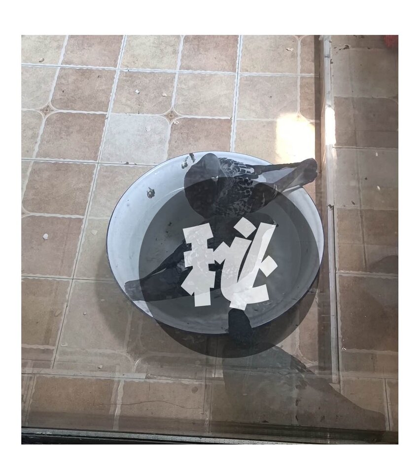 第 52 页