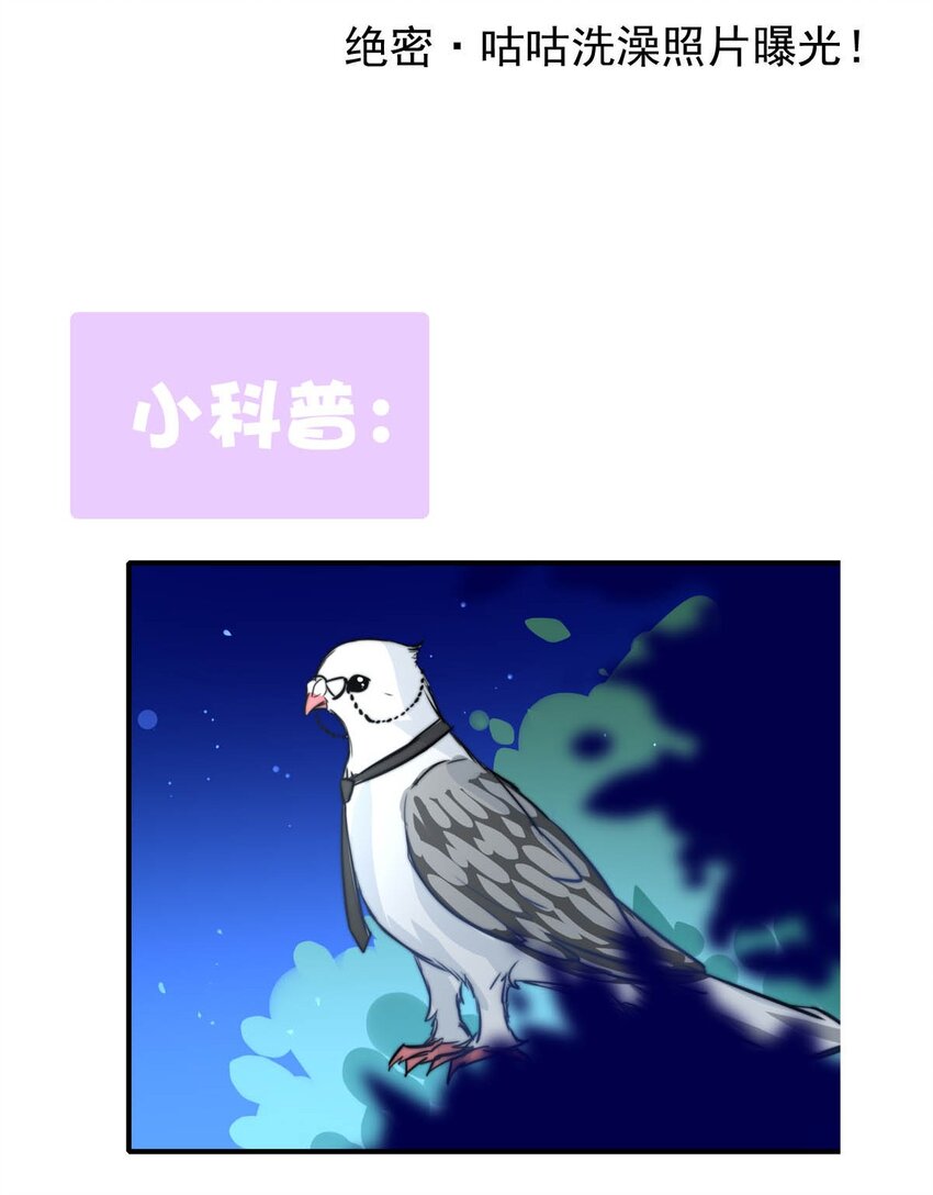 第 53 页