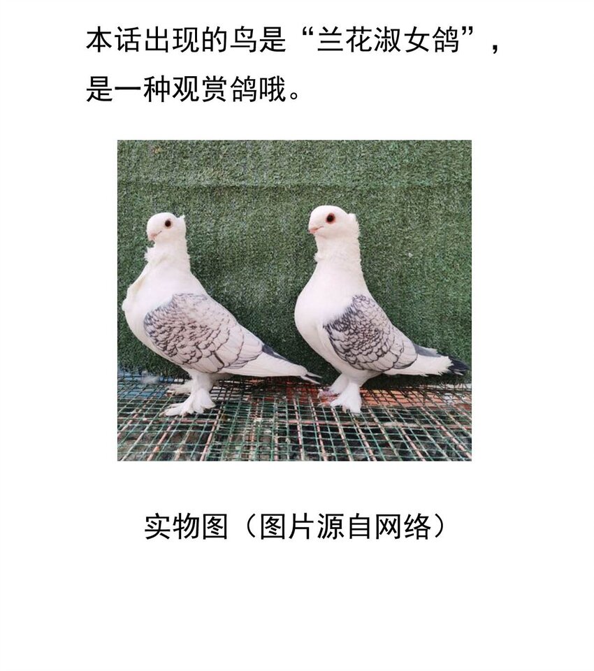 第 54 页