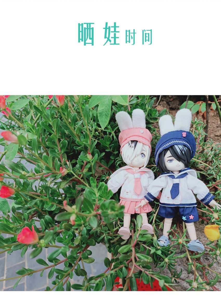 第 42 页
