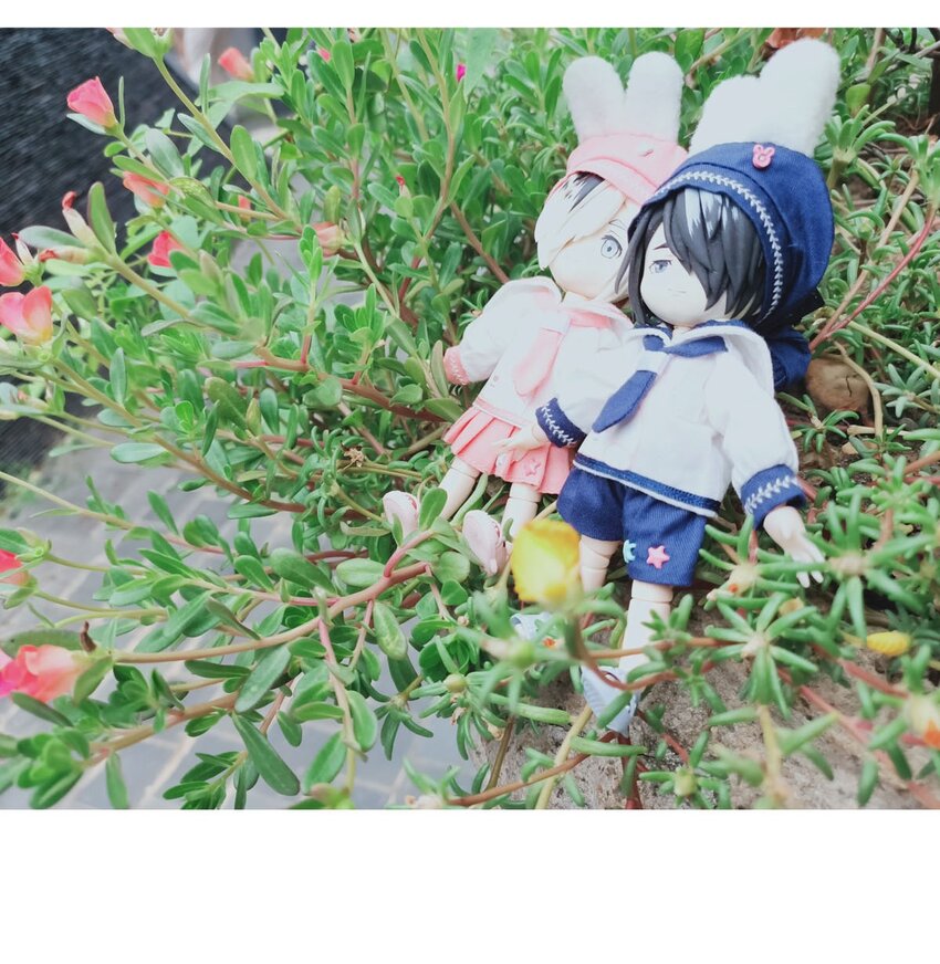 第 43 页