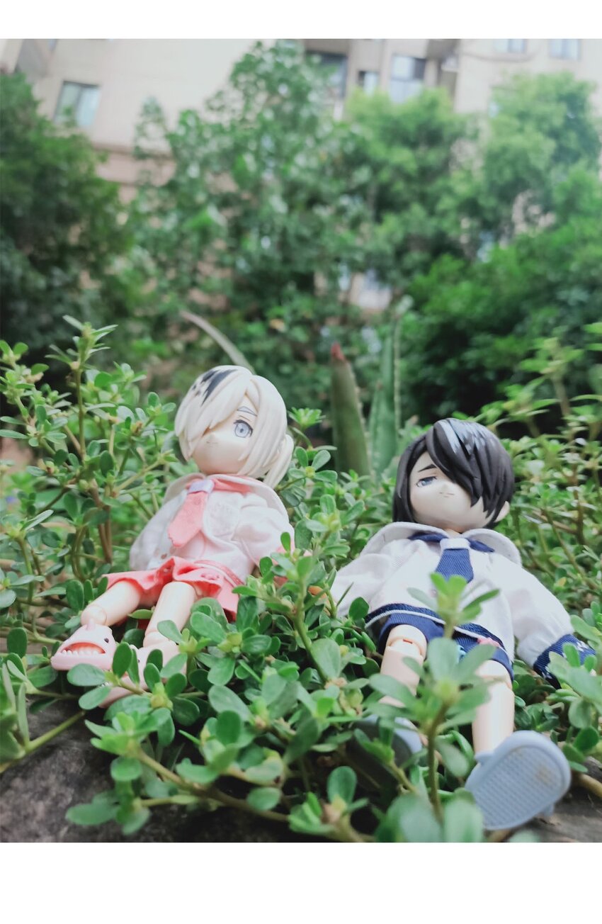 第 47 页