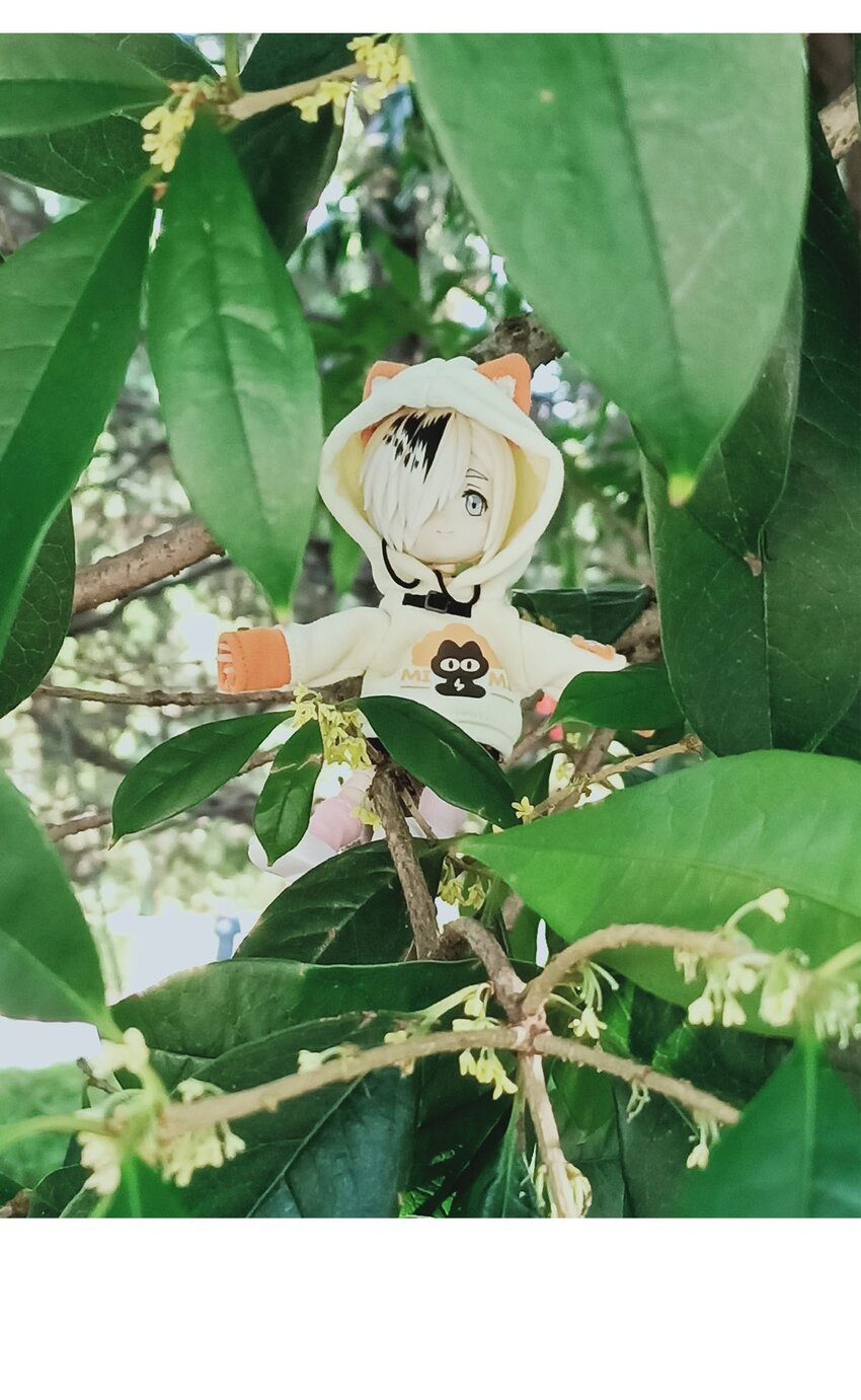 第 40 页