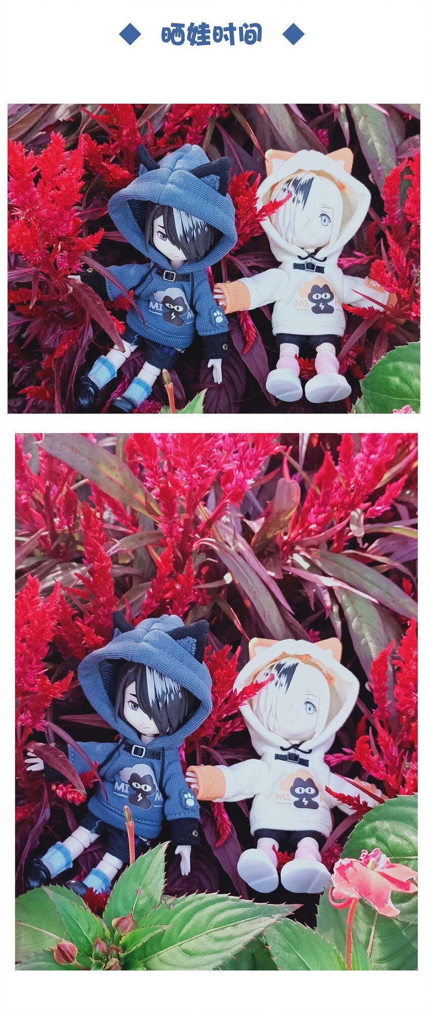 第 36 页