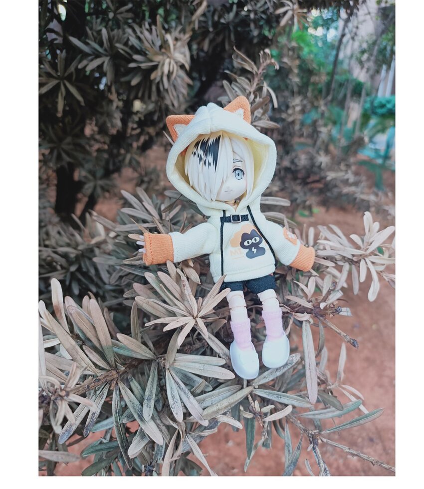 第 41 页