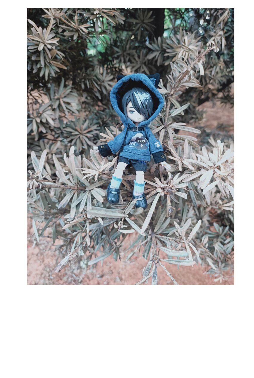 第 42 页