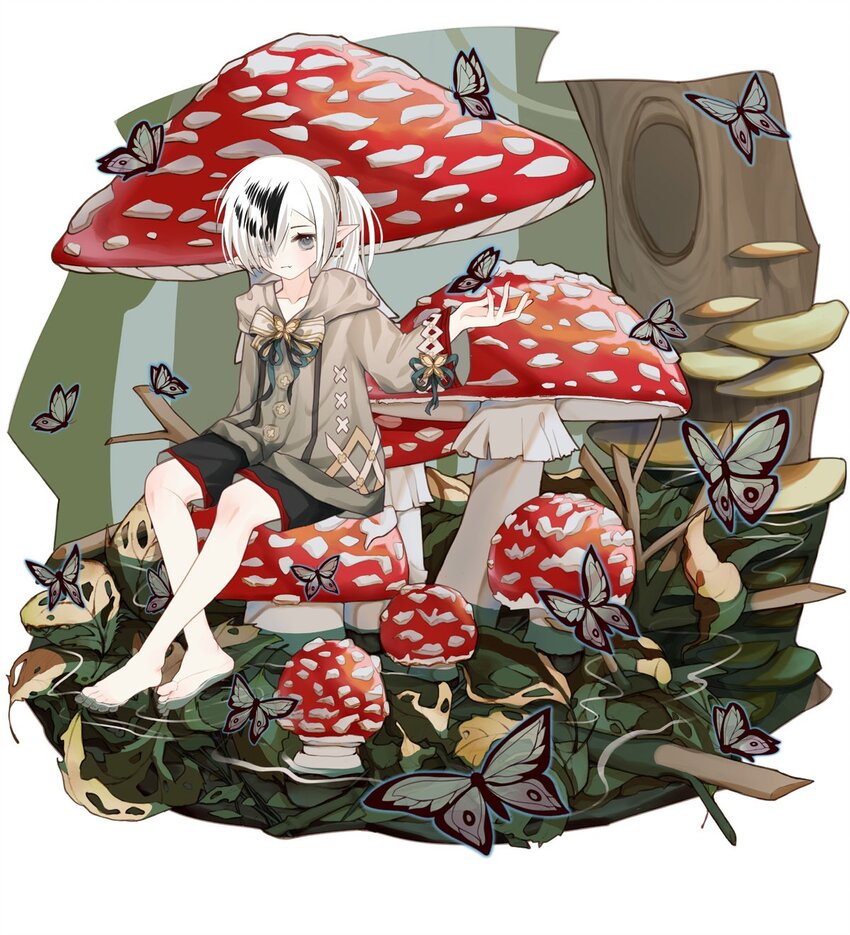 第 29 页