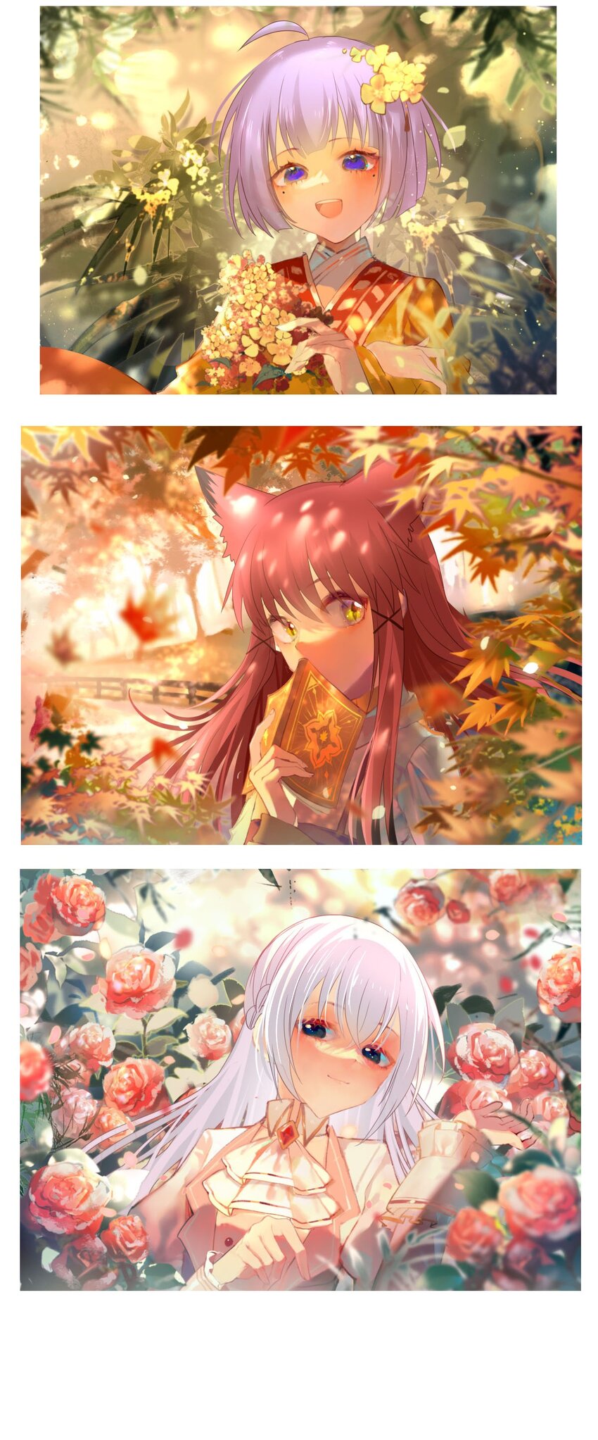 第 47 页